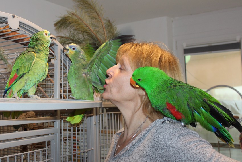Freie Rednerin Klaudia Fagerer mit Ihren Papageien